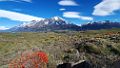0479-dag-23-006-Torres del Paine